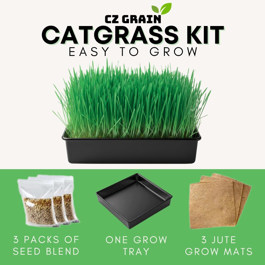 Cat Grass Growing Kit Organic Seed Jute Grow Mats 10 x 10 Grow Container G91623