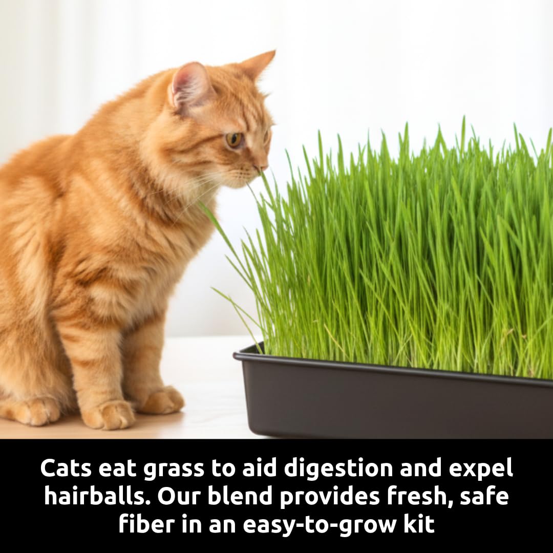 Cat Grass Growing Kit Organic Seed Jute Grow Mats 10 x 10 Grow Container G91623