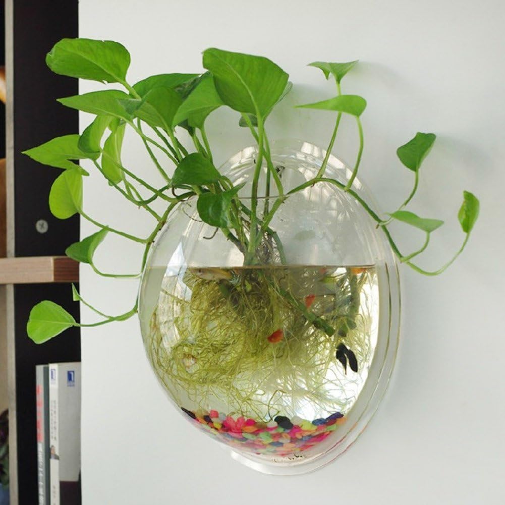 Wall Mounted Acrylic Fish Bowl Q524210