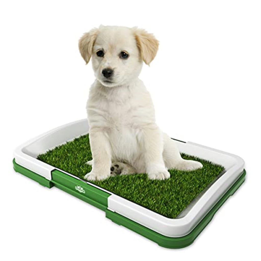 Artificial Grass Pee Pad Set for Dogs C317