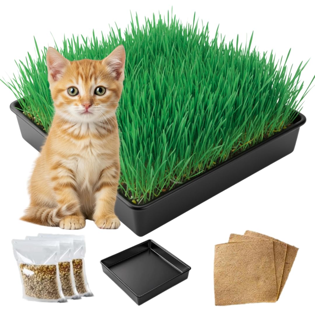 Cat Grass Growing Kit Organic Seed Jute Grow Mats 10 x 10 Grow Container G91623