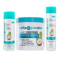Argan, Coconut & Moringa Oils Shampoo + Conditioner + Leave-in Cream Set V198