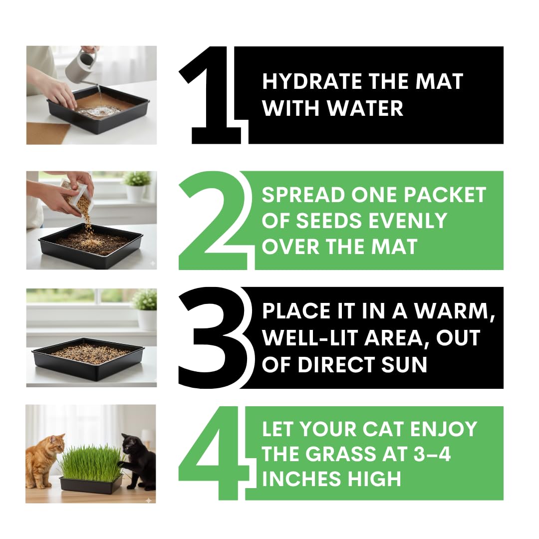 Cat Grass Growing Kit Organic Seed Jute Grow Mats 10 x 10 Grow Container G91623