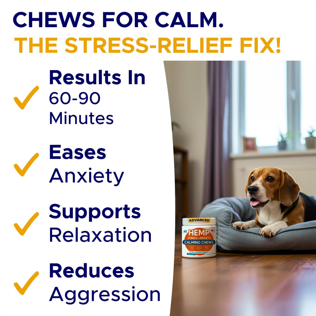 Calming Chews for Dogs 60Ct K7672