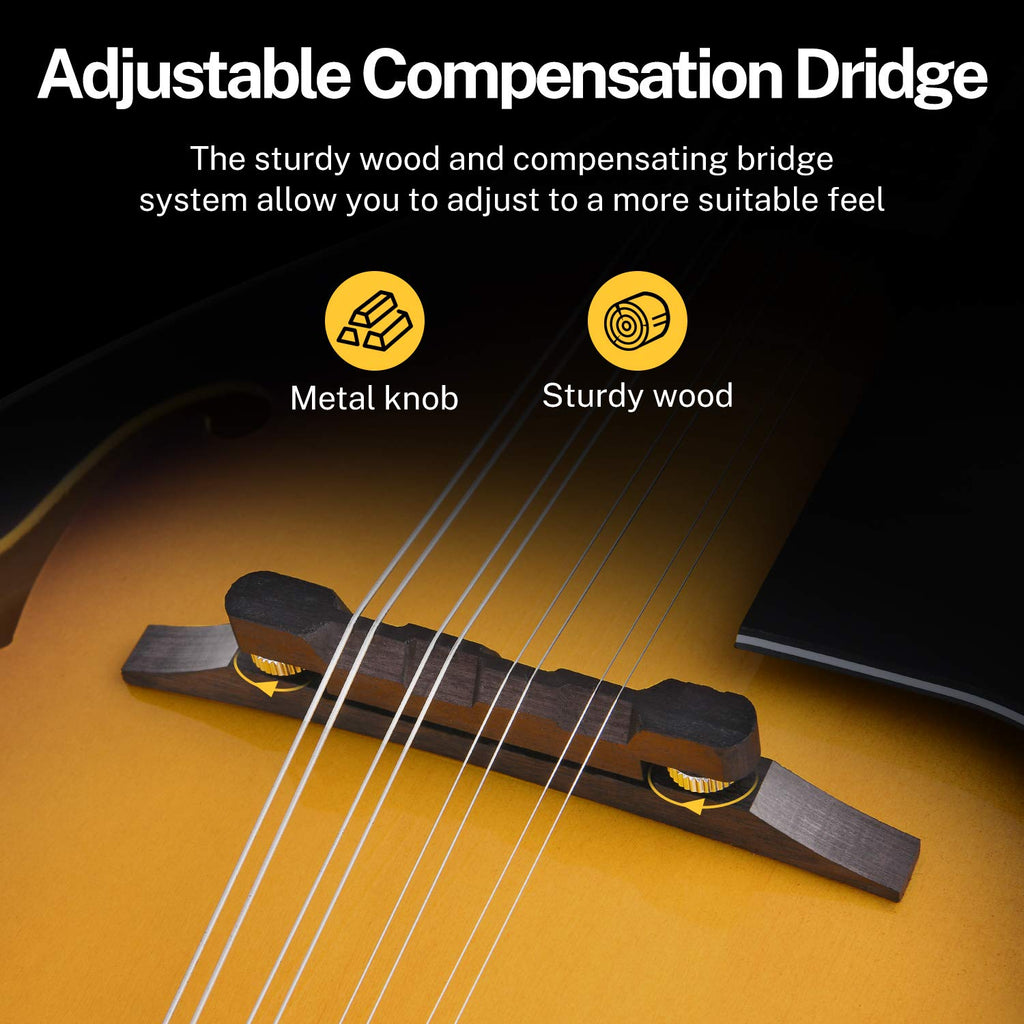 Sunburst Mahogany 8 String Acoustic Mandolin D22287