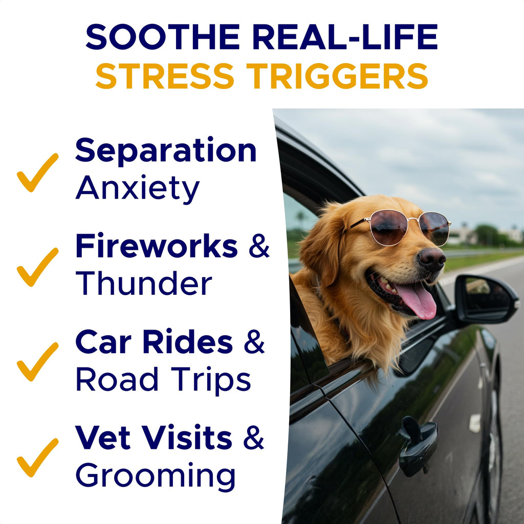 Calming Chews for Dogs 60Ct K7672