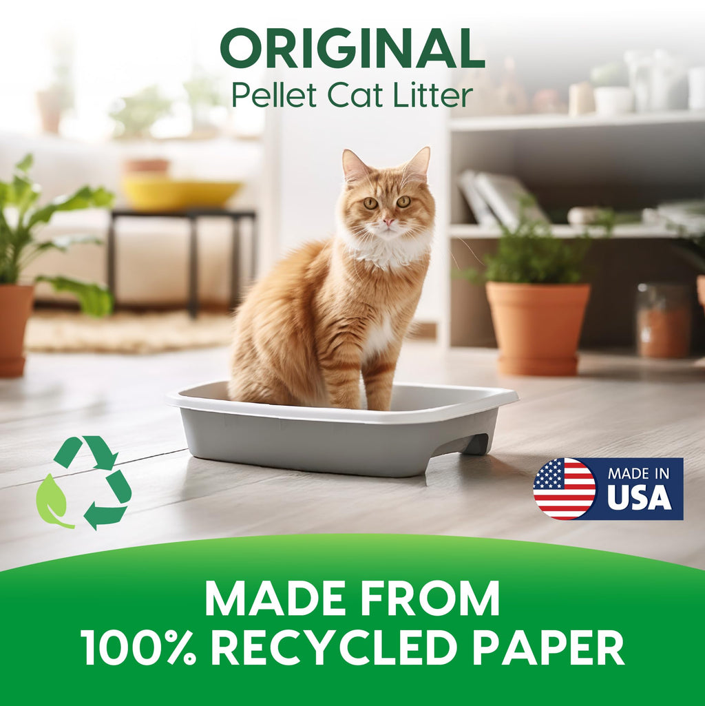 Paper Non-Clumping Cat Litter 12 Pound V532382