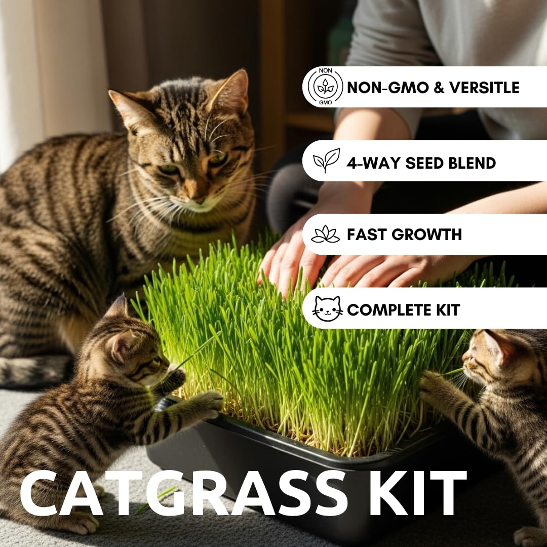 Cat Grass Growing Kit Organic Seed Jute Grow Mats 10 x 10 Grow Container G91623