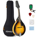 Sunburst Mahogany 8 String Acoustic Mandolin D22287