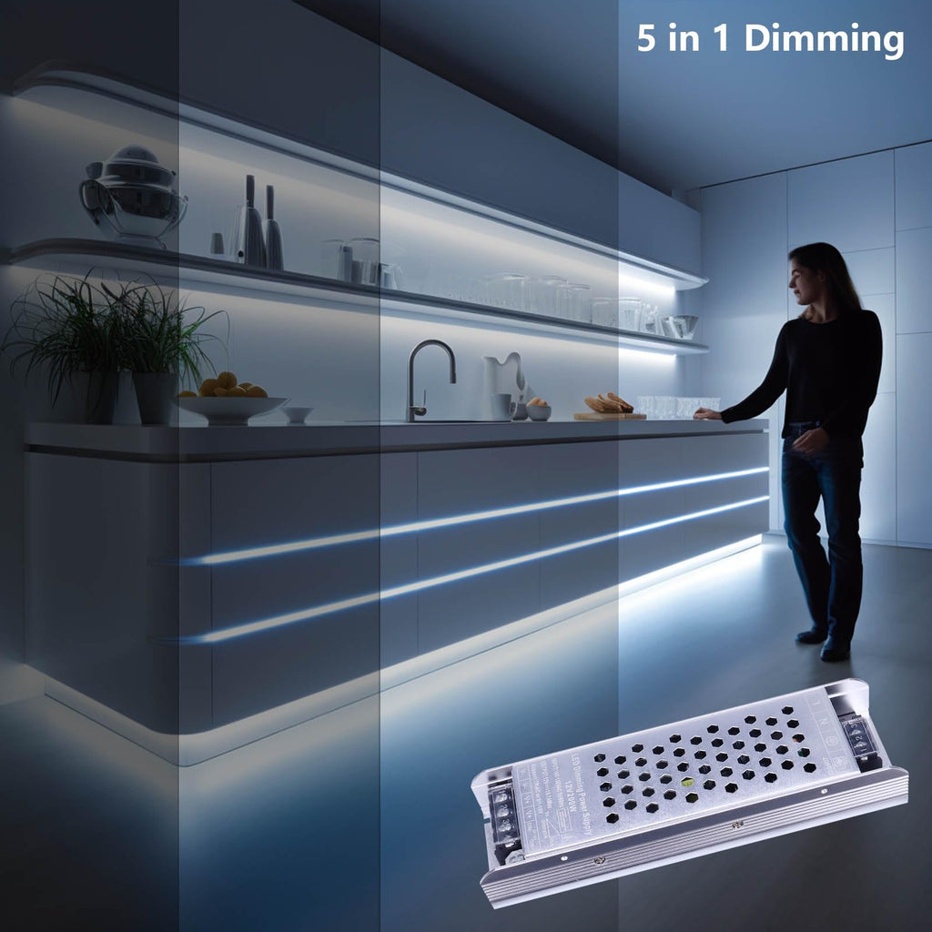 12V 200W Dimmable LED Driver L548173