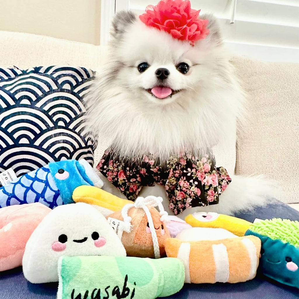 10 PC Squeaky Plush Dog Toys with Bag N4470