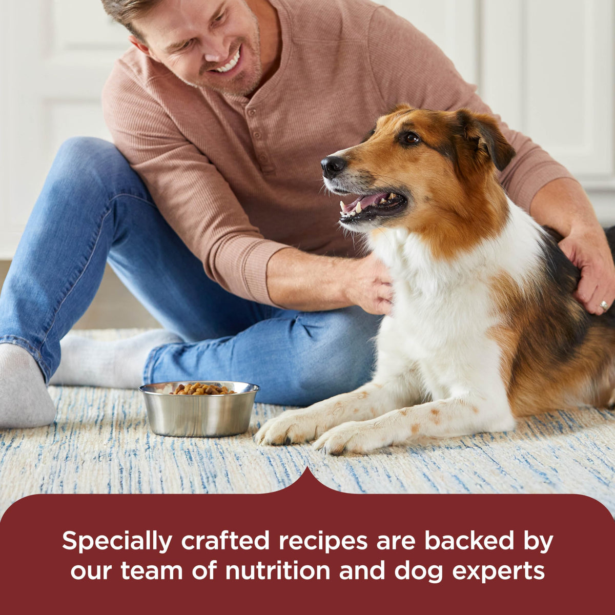 Dry Dog Food, Beef, Pea & Brown Rice, 40 lb. Bag W96597