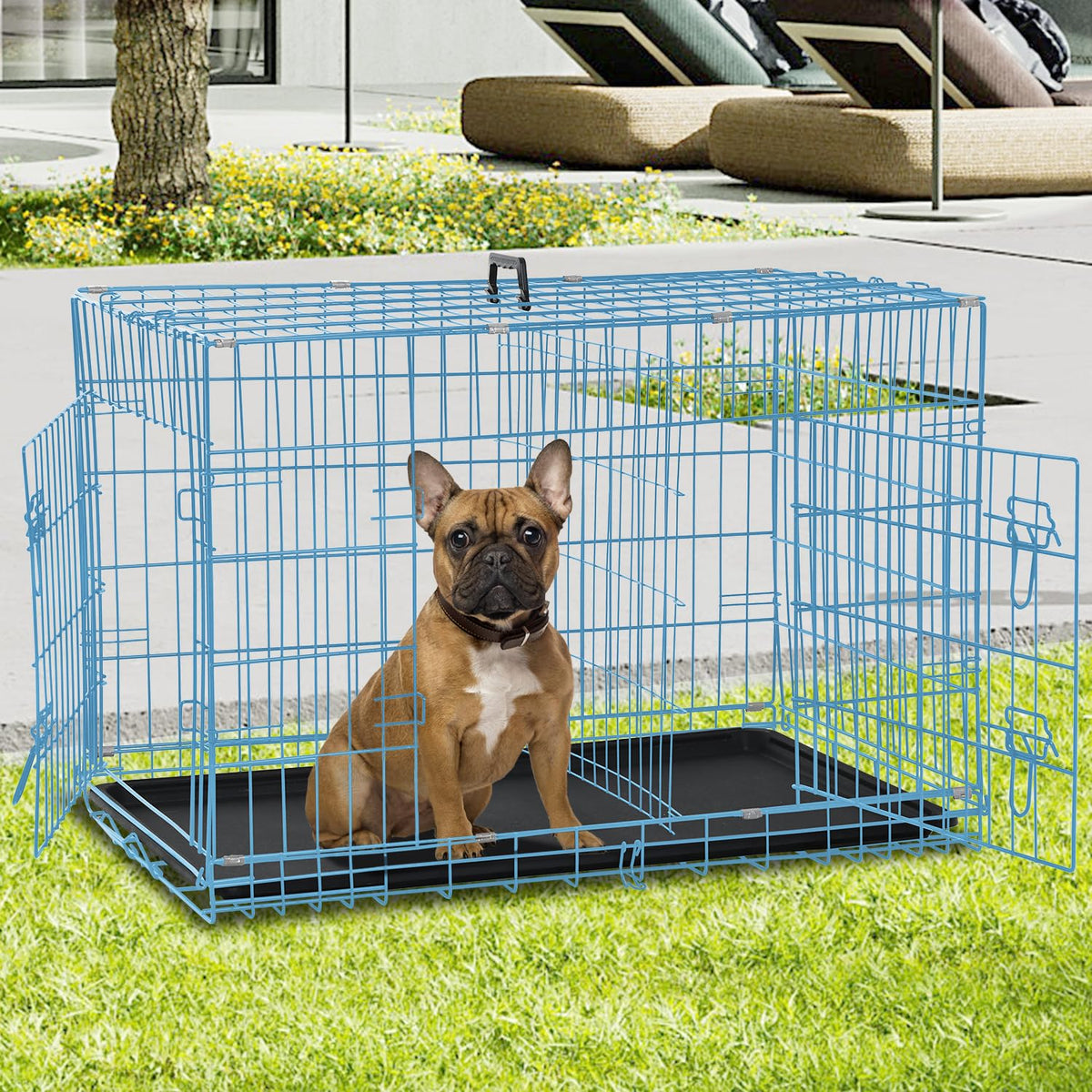 Folding Metal Dog Crate with Plastic Tray & Divider X648