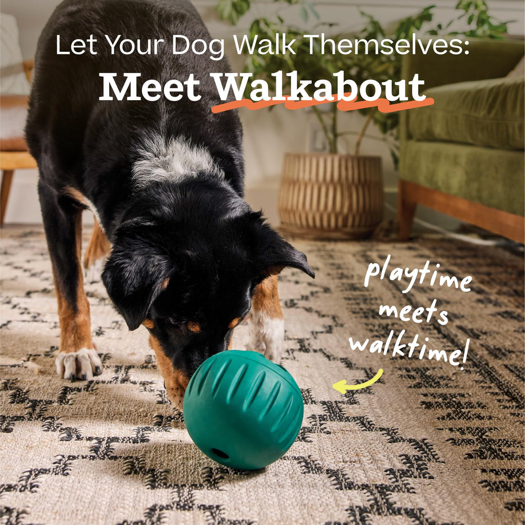 Dog Puzzle Slow Feeder Toy A623001