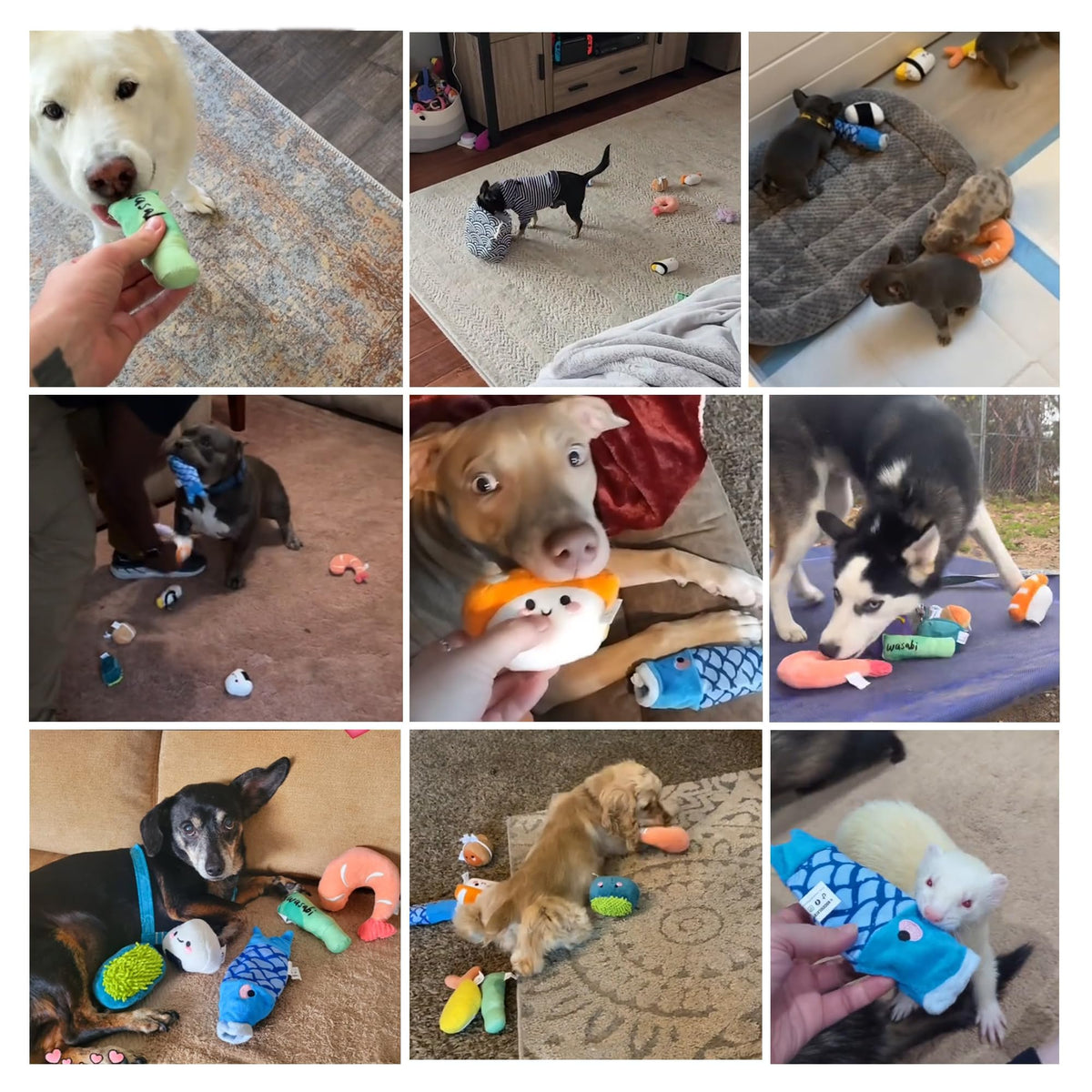 10 PC Squeaky Plush Dog Toys with Bag N4470