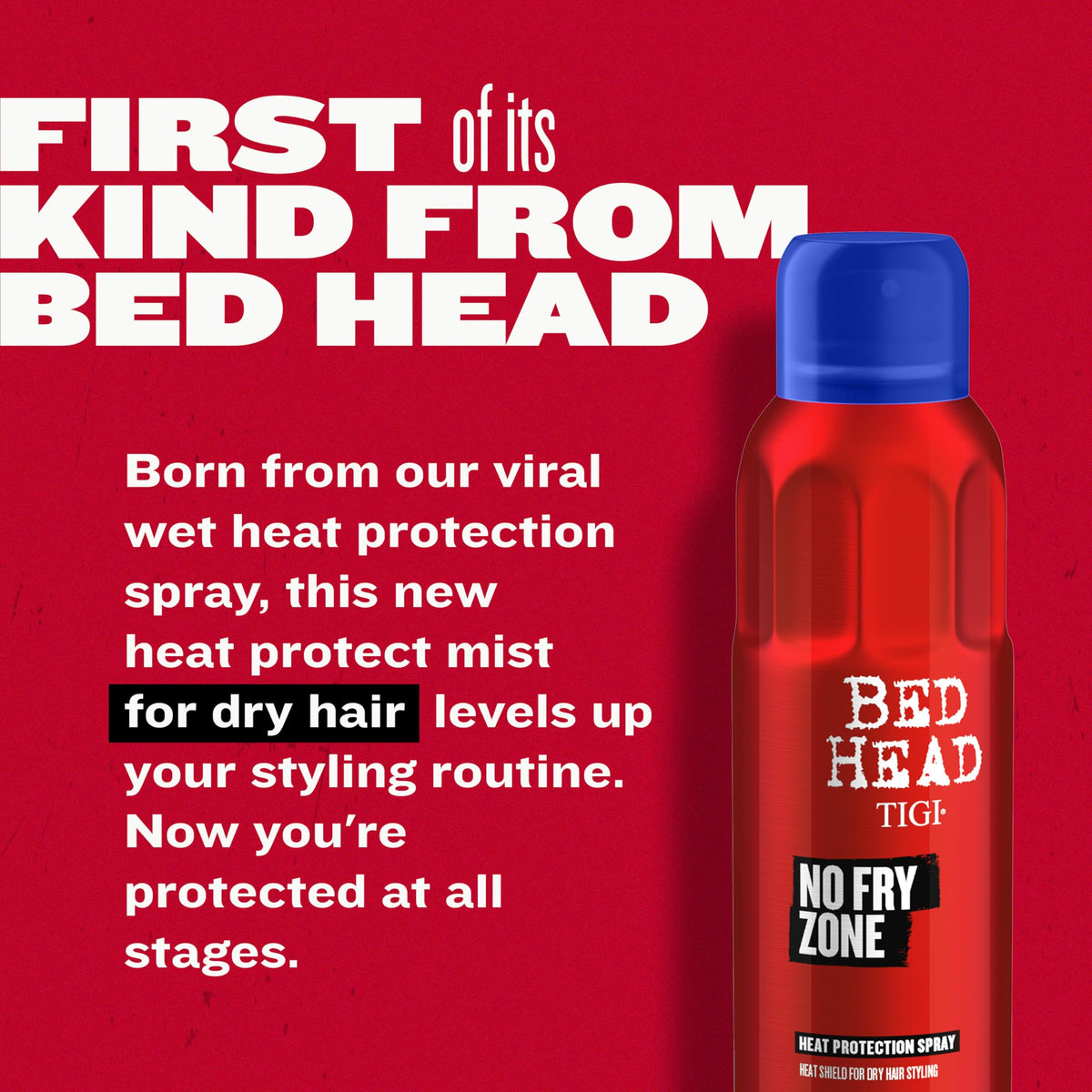 Heat Protectant Mist, 4.5 oz Q5792