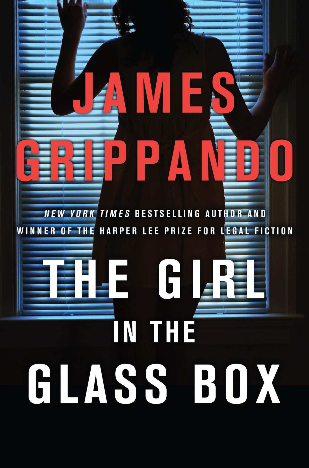 Legal Thriller F15199