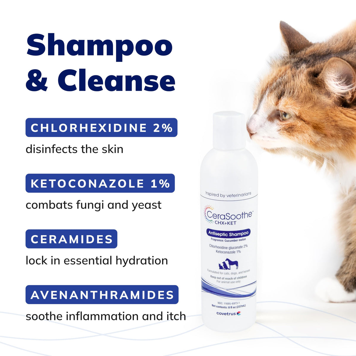 Chlorhexidine Ketoconazole Antiseptic Shampoo 16 oz B50097