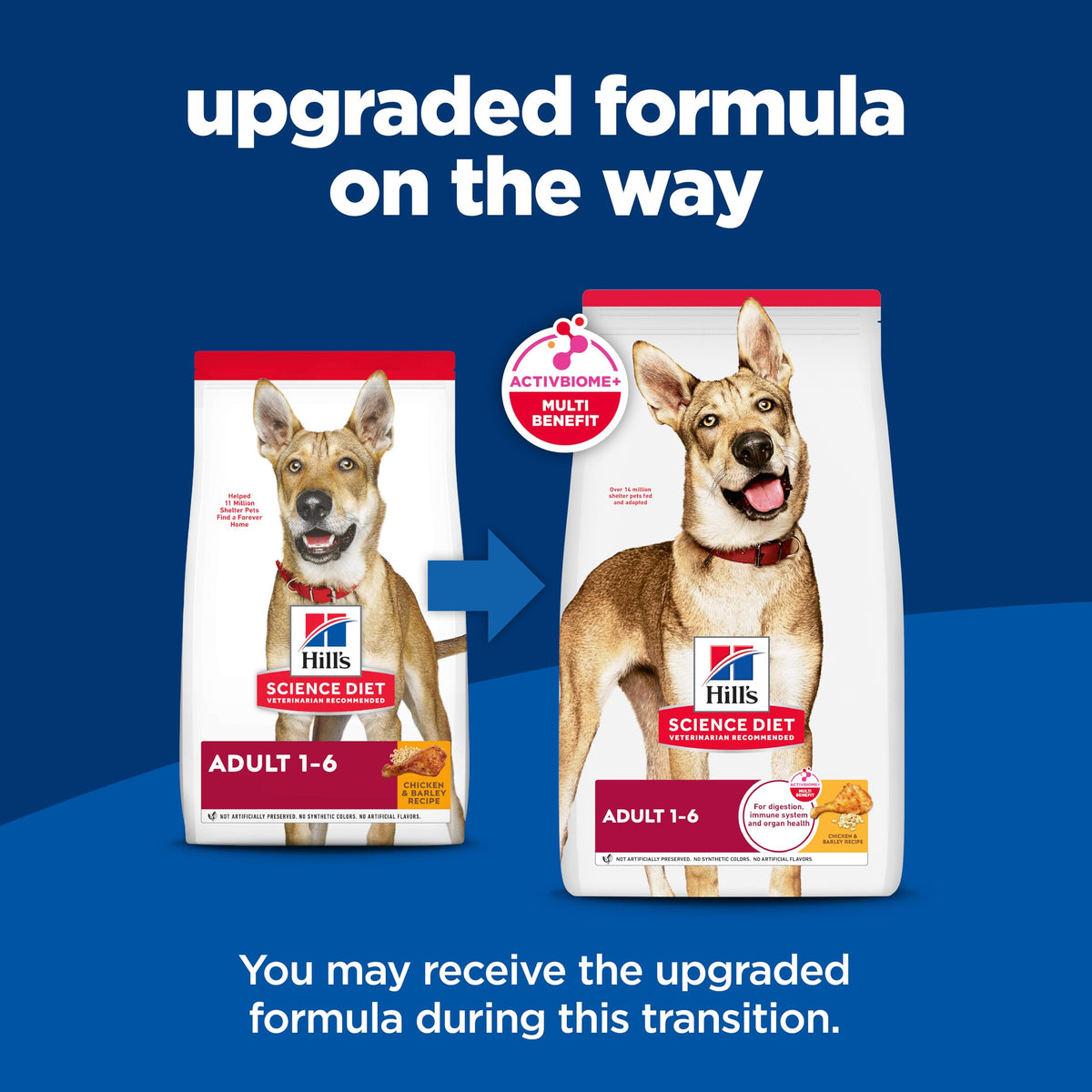 Dry Dog Food E31754