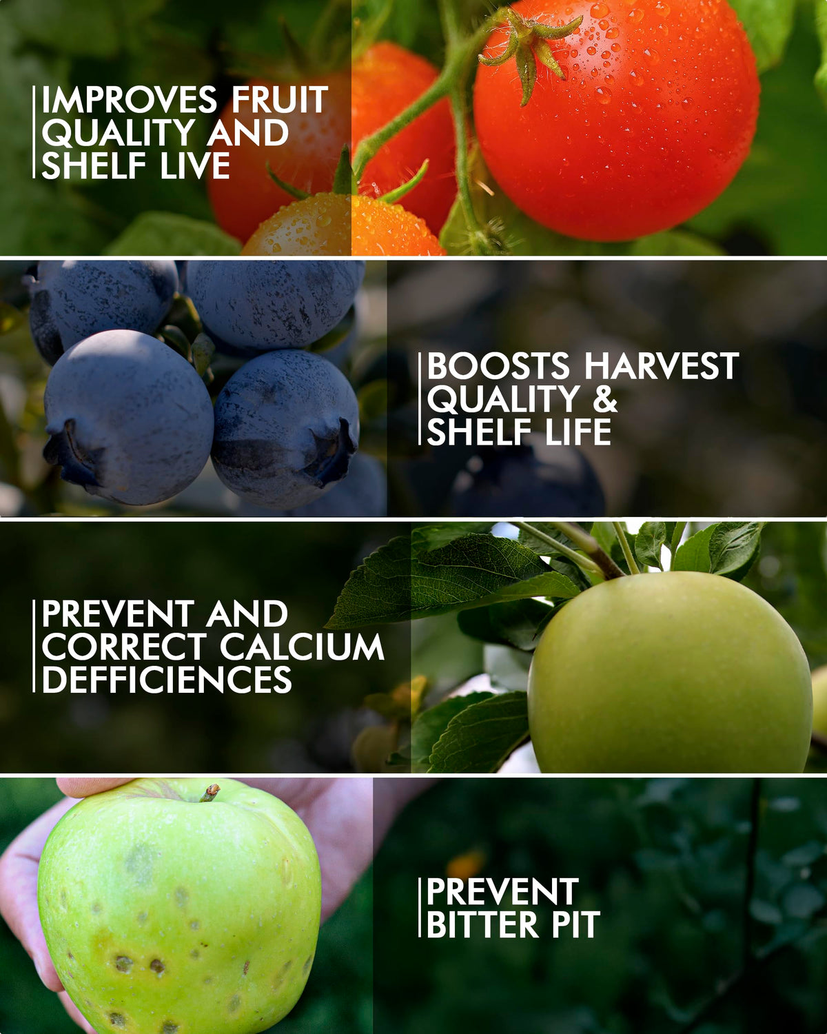 Liquid Calcium Fertilizer for Tomatoes and Vegetables H936564