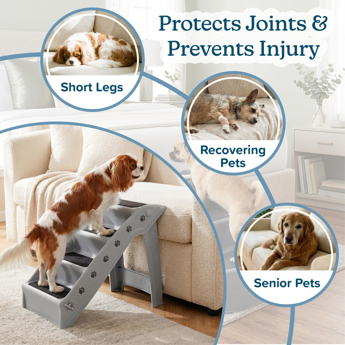 Lightweight Durable Plastic Dog Stairs C591872