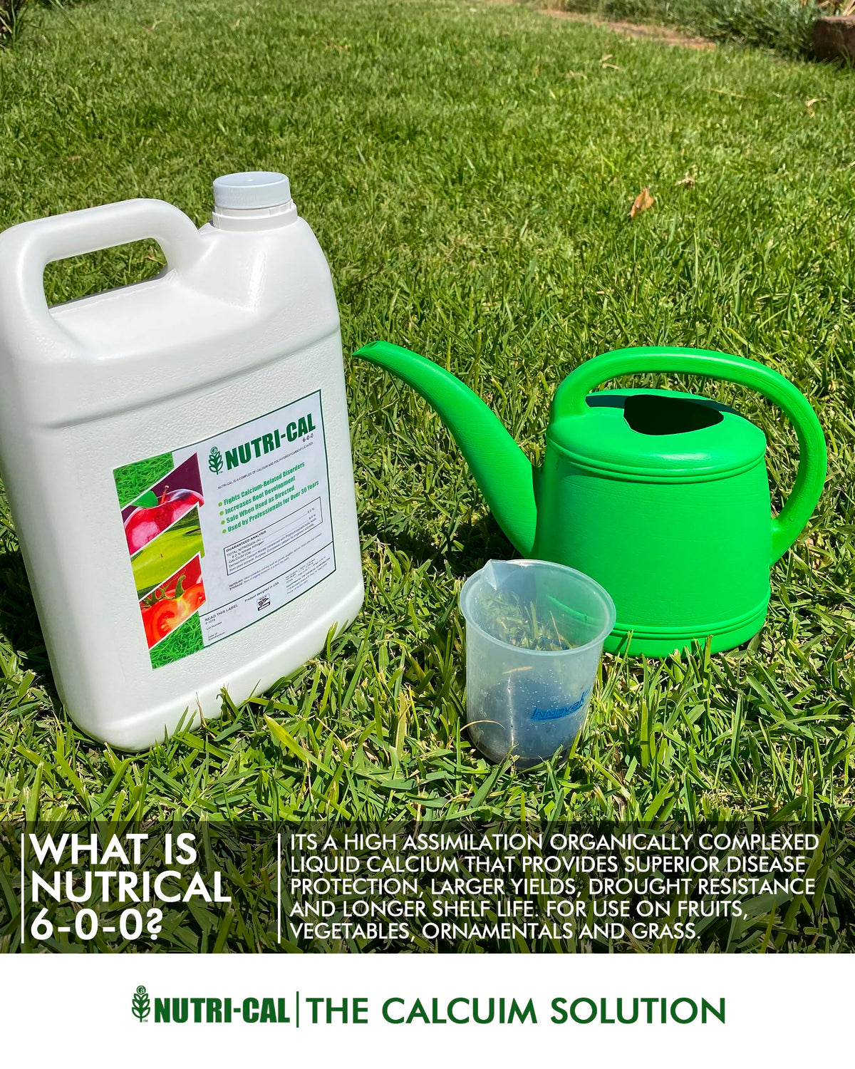 Liquid Calcium Fertilizer for Tomatoes and Vegetables H936564