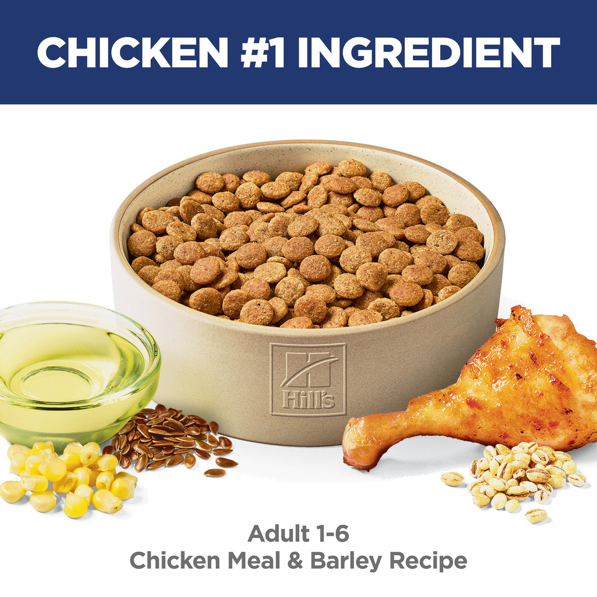Dry Dog Food E31754