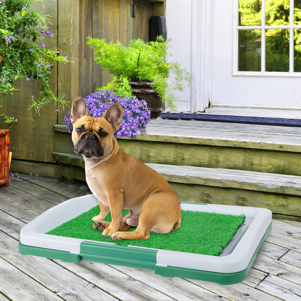 Artificial Grass Pee Pad Set for Dogs C317